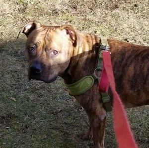 Meet your Posher, Meaghan